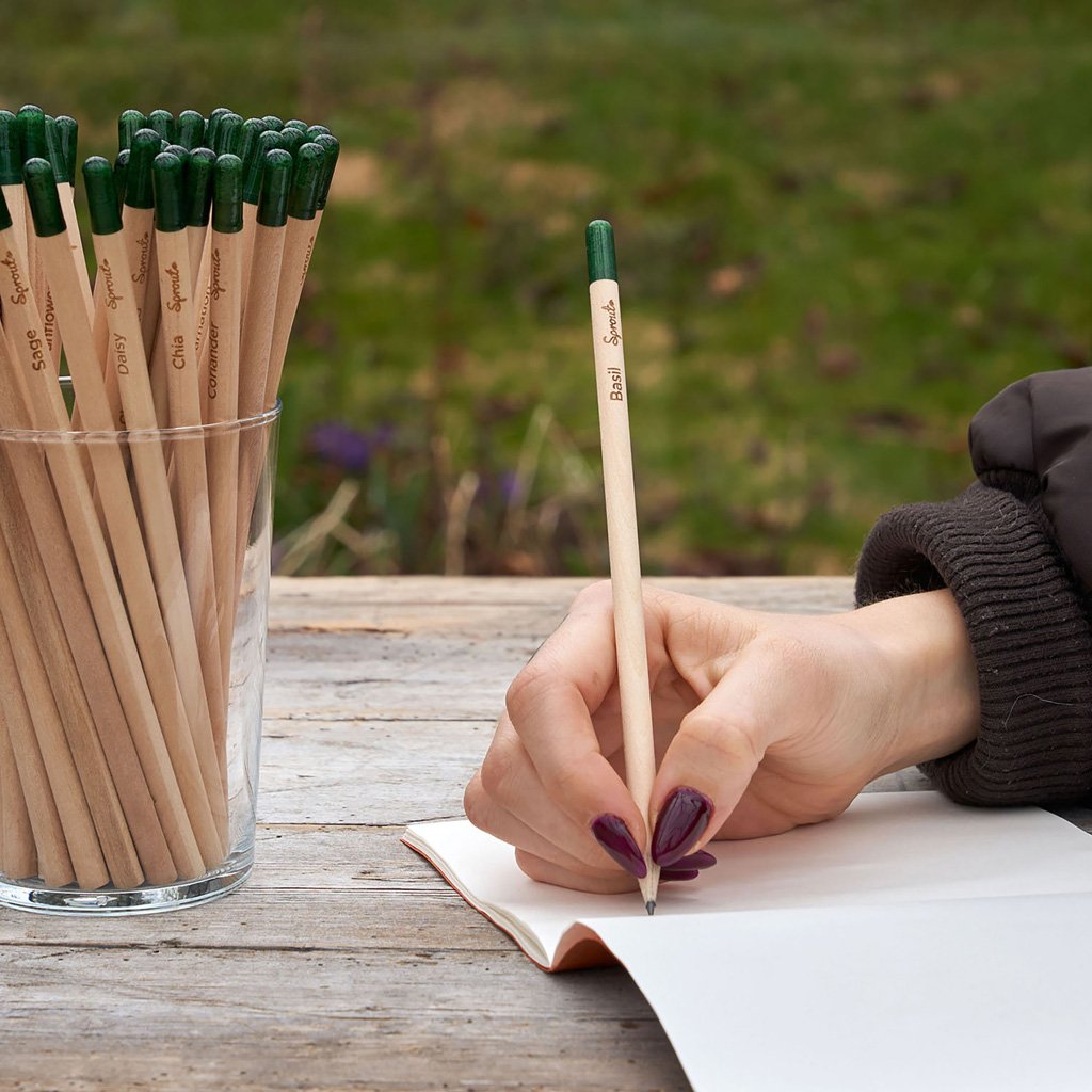 Sprout Pencils – The original plantable pencil