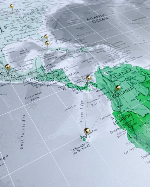 image of Push Pin Maps from The Future Mapping Company