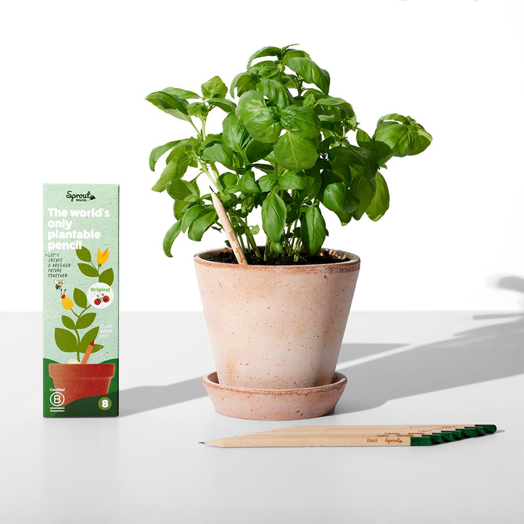 Photo 1 of Sprout Pencils – The original plantable pencil